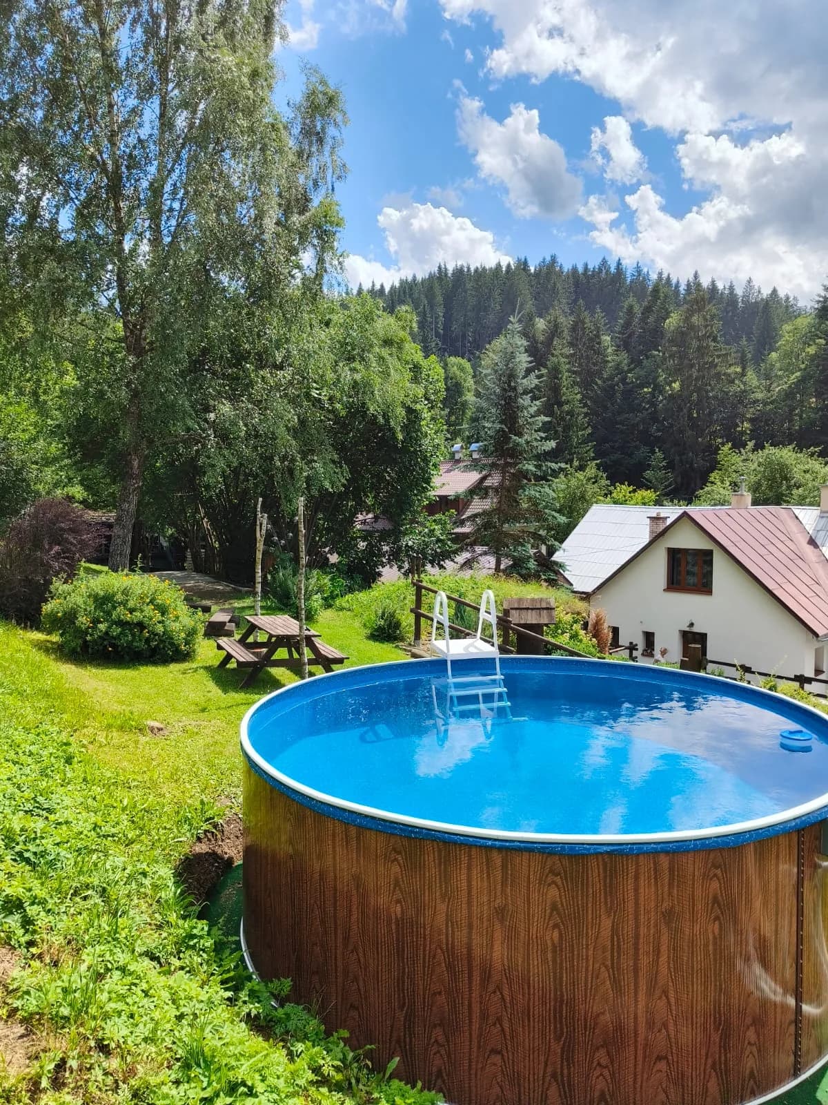 Venkovní bazén na zahradě s výhledem na chalupu a les